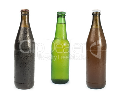 set of beer bottles isolated