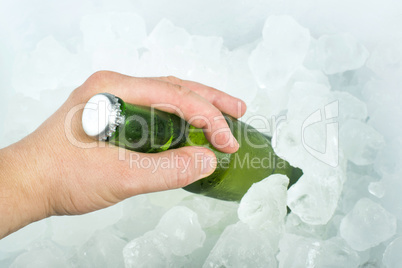bottle of beer and ice cubes