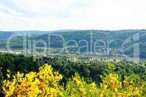 enkirch und kövenig an der mosel