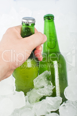 green bottle of beer