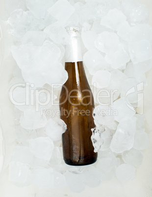 bottle of beer and ice cubes