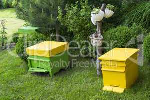 yellow beehives