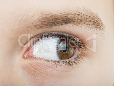 human eye looking to the right