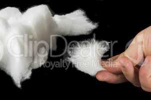 cotton wool