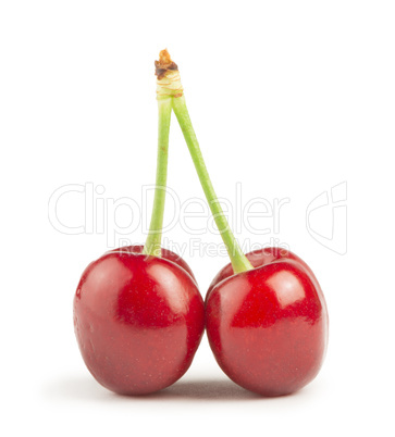 two cherries white isolated