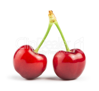 two cherries white isolated