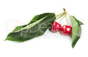 two cherries and branch with leaves