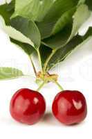 two cherries and branch with leaves