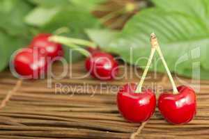 cherries and branch with leaves