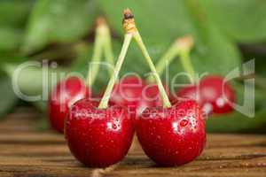 cherries and branch with leaves