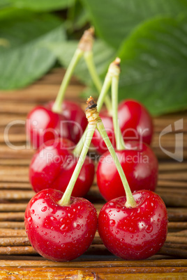 cherries and branch with leaves