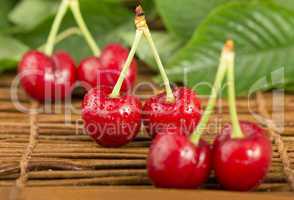 cherries and branch with leaves