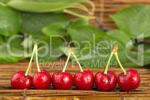 cherries and branch with leaves