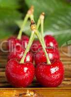 cherries and branch with leaves