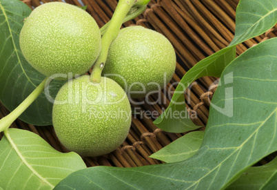 green walnuts and leaves