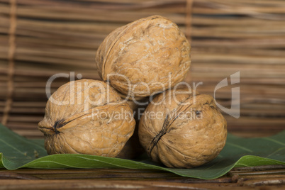 ripe walnuts