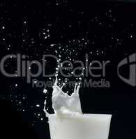 splashing milk black isolated