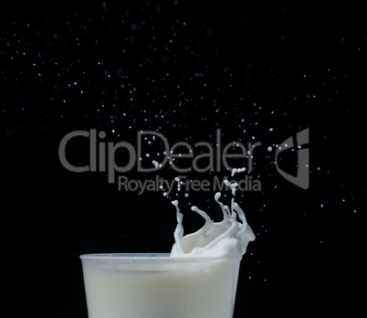 splashing milk black isolated