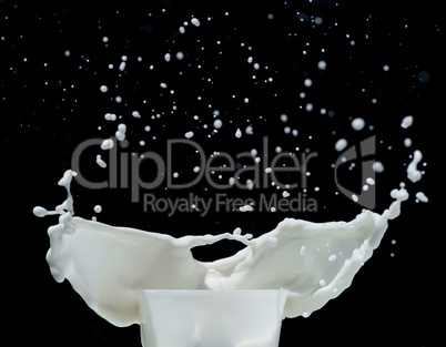 splashing milk black isolated