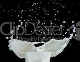 splashing milk black isolated