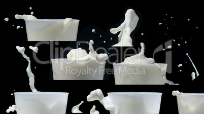 splashing milk black isolated