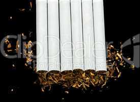 arranged in a row cigarettes