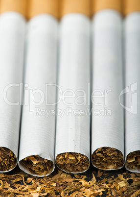 arranged in a row cigarettes