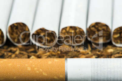 arranged in a row cigarettes