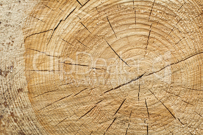 background of split wood