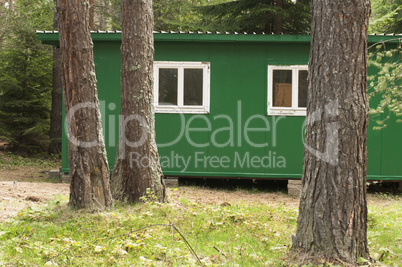 green bungalow in the forest