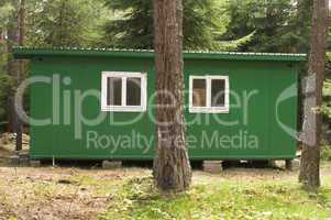 green bungalow in the forest