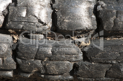 close up coal