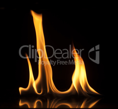 fire on a black background