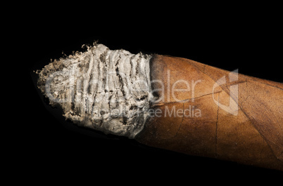 studio shot cigar black isolated
