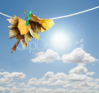 autumn leaves on a rope
