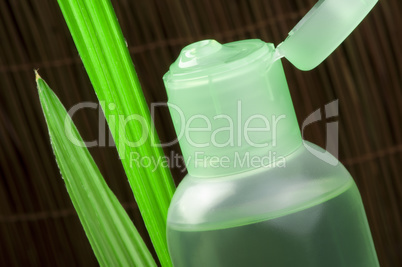 green cosmetic bottle and leaf