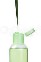 green cosmetic bottle and leaf