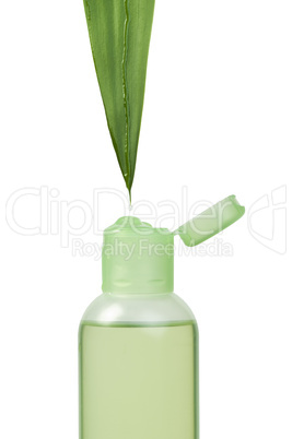 green cosmetic bottle and leaf