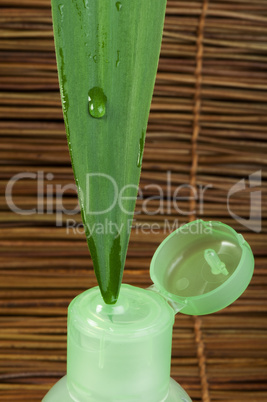 green cosmetic bottle and leaf