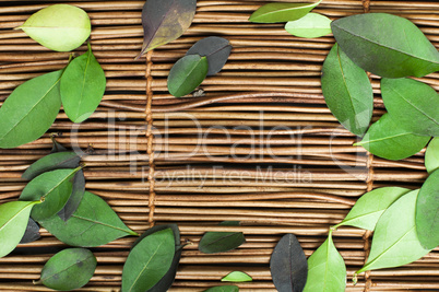 wooden background and leafs