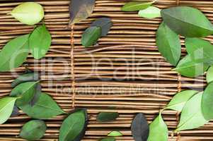 wooden background and leafs