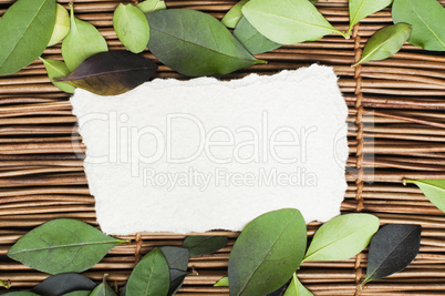 wooden background and leafs