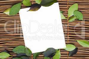 wooden background and leafs