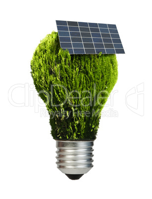lamp made ??of green plants. ecology conception