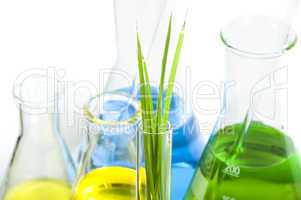 green plants in laboratory equipment