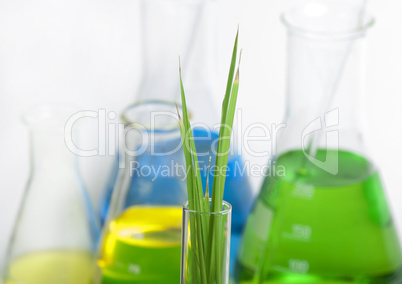 green plants in laboratory equipment