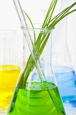 green plants in laboratory equipment