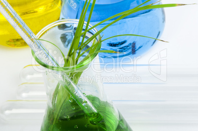 green plants in laboratory equipment