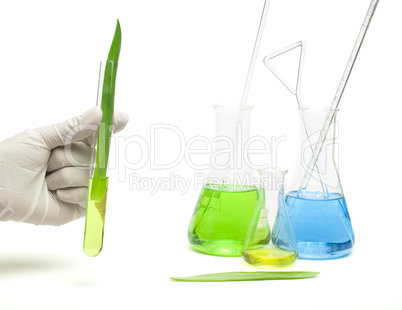 green plants in laboratory equipment