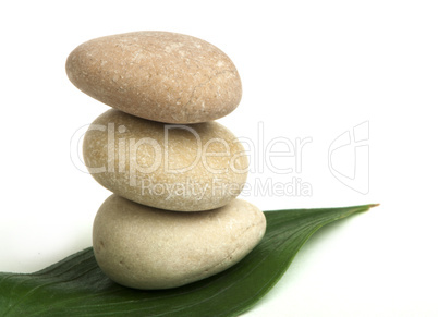 stacked stones on base of green leafs